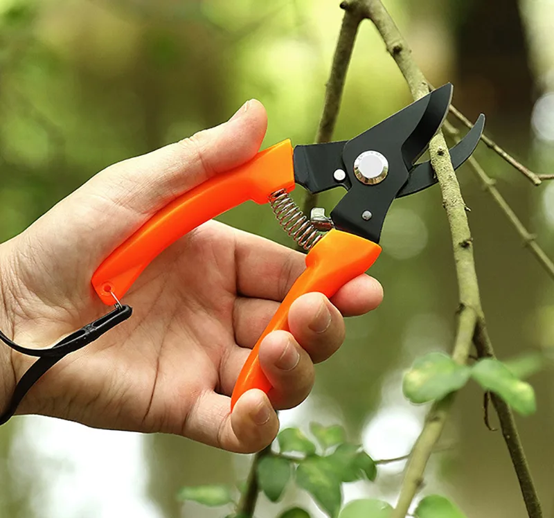 Garden Trimming Scissors